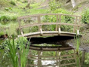 Горбатый садовый мостик