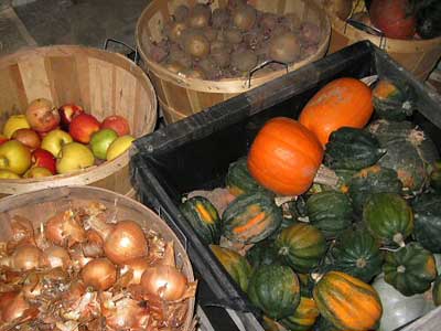Хранение овощей в погребе