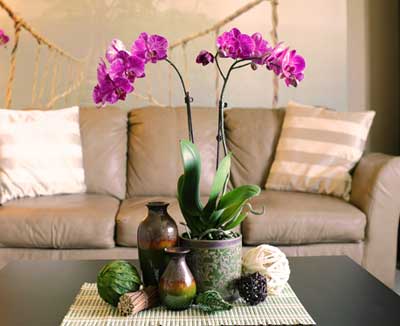 Украшение живыми орхидеями